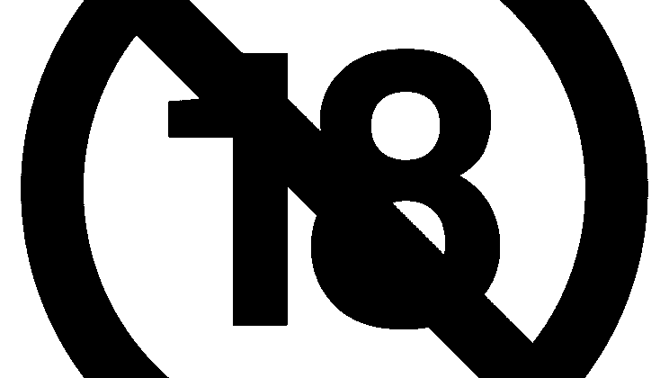 Cracking the Code: Ranking in Niches No One Talks About